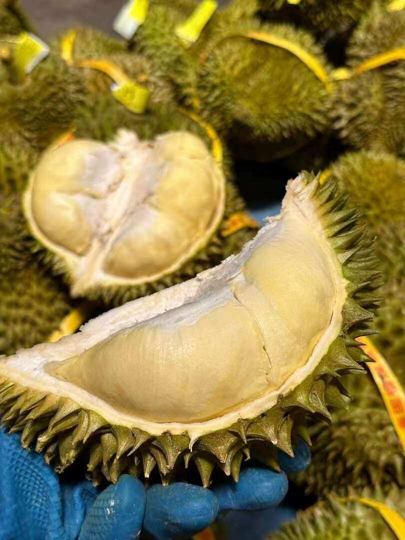 现货泰国金枕头榴莲新鲜水果整个带壳核小肉厚金枕榴莲包邮