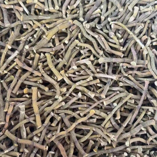 勐腊县铁皮石斛寸条
