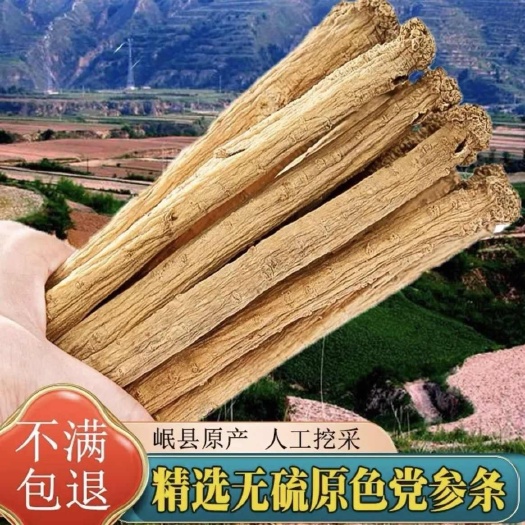 广州【党参整条】正品无硫甘肃岷县党参中非党产地直销多规格