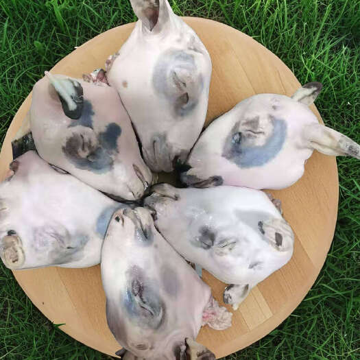 中牟县黑花色羔羊羊净头一袋50斤