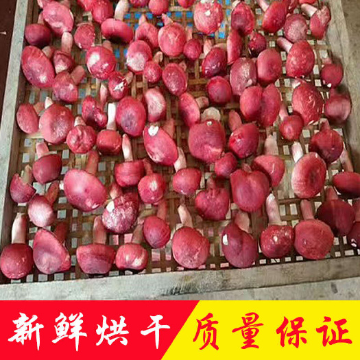 野生红菇批发 产地直销干货土特产大红菌正红蘑菇食用菌滋补品