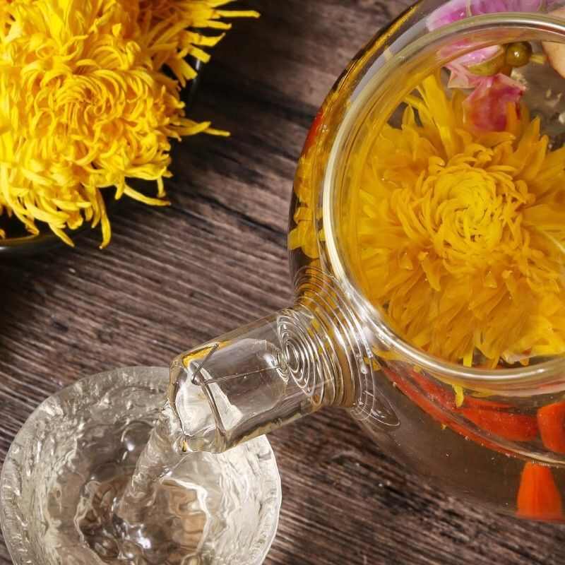 金丝皇菊黄山金丝皇菊产地直销量大从优一件代发