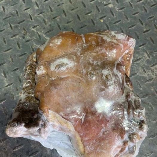 济南带皮熟羊肉，精修白皮