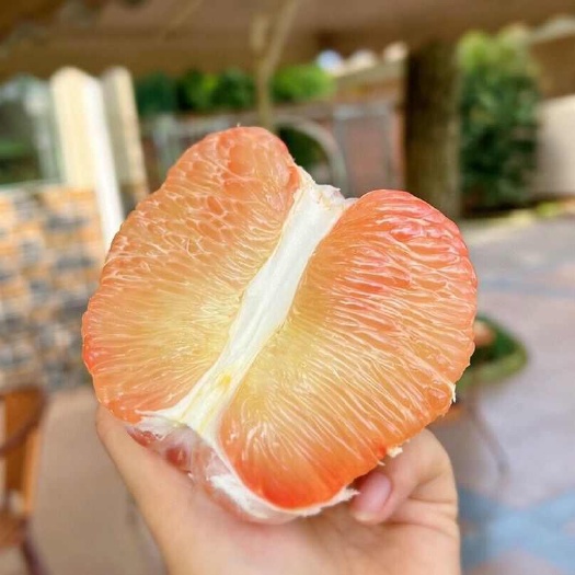 泰国翡翠青皮红心柚子多汁蜜柚新鲜青柚当季孕妇水果包邮