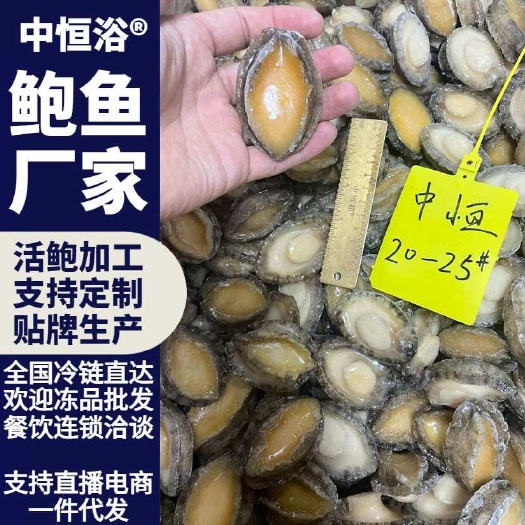 鲍鱼肉 鲜冻20-25头供应酒店餐饮电商超市商用海鲜冻品批发