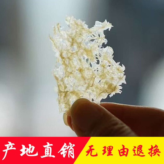 广州本草银耳批发干货冲泡即食银耳免煮金燕耳仁耳破壁免煮