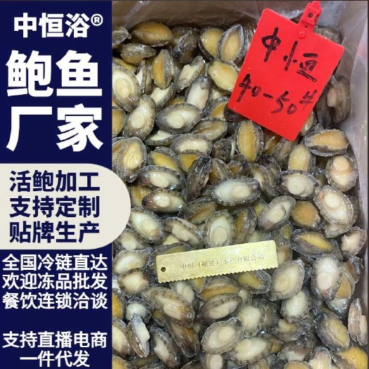 东山县鲍鱼肉 新鲜速冻40-50头鲍鱼肉自助火锅佛跳墙材料批发