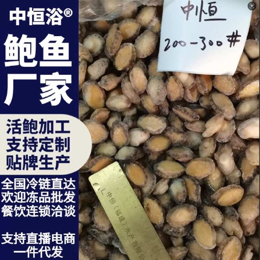 东山县鲍鱼肉 新鲜速冻200-300头小鲍鱼肉海鲜粽子材料海鲜冻品
