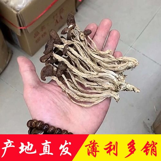 广州产地直销批发 茶树菇3号干货捆把烘干江西5号菌菇扎把剪根