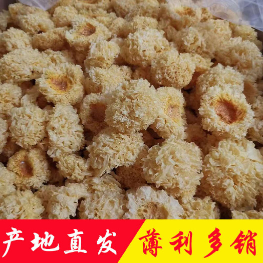 广州产地直销批发 精选椴木小银耳香糯耳菌菇雪耳土特产干货