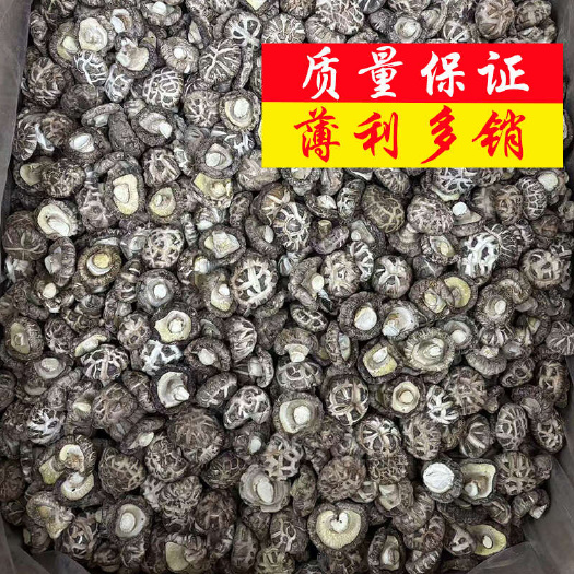 广州茶花菇产地直销批发 浓香型香菇干货蘑菇土特产新鲜烘干花菇菌菇