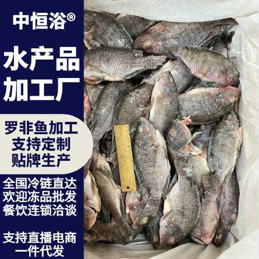 三去罗非鱼 鲜活加工速冻保鲜罗非鱼水产冻品餐饮酒店商用批发