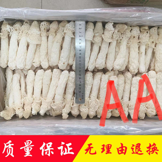 广州产地直销批发 烘干红托竹荪织金贵州竹荪菌菇干货蘑菇竹笙土特产