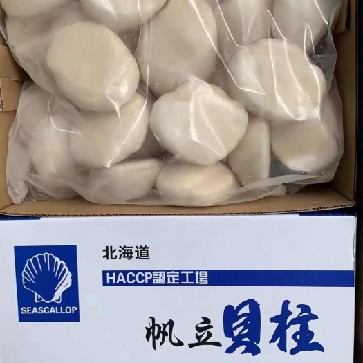 广州【一手货源】刺身帆立贝