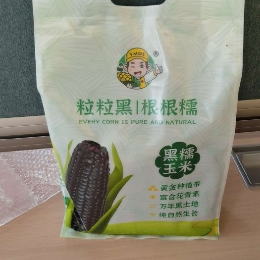 南京东北新鲜黑玉米天然健康营养丰富口感香甜软糯