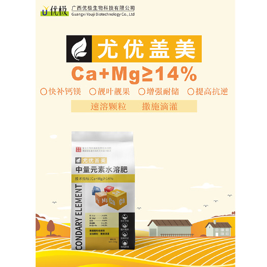 玉林中量元素水溶肥钙镁肥黄腐酸钾速溶肥颗粒肥有机水溶肥滴灌肥料