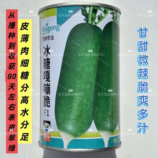 冰糖嘎嘣脆萝卜种子糖分高薄肉细水果萝卜种子甘甜多汁青皮萝卜种