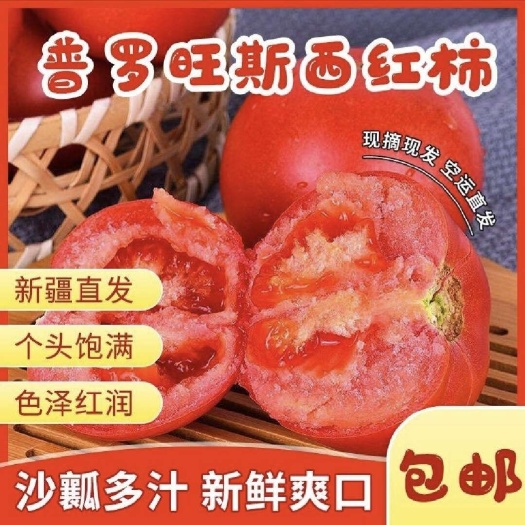 吐鲁番新疆沙瓤西红柿新鲜自然熟普罗旺斯现摘现发可生吃水果番茄空运