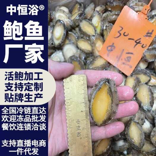 东山县鲍鱼肉 新鲜30-40头速冻鲍鱼肉 一手货源 厂家直发