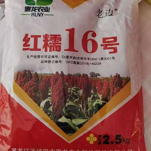 赤峰红糯16号高粱种子 积温2600,生育期124天