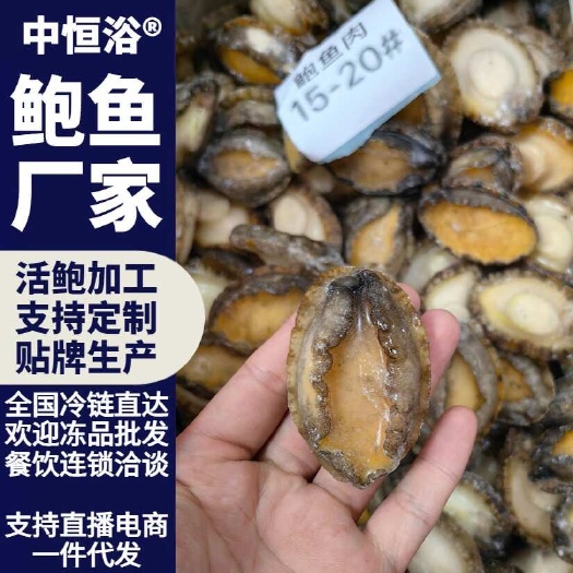 东山县鲍鱼肉 15-20头大鲍鱼肉 厂家一手货源海鲜冻品批发
