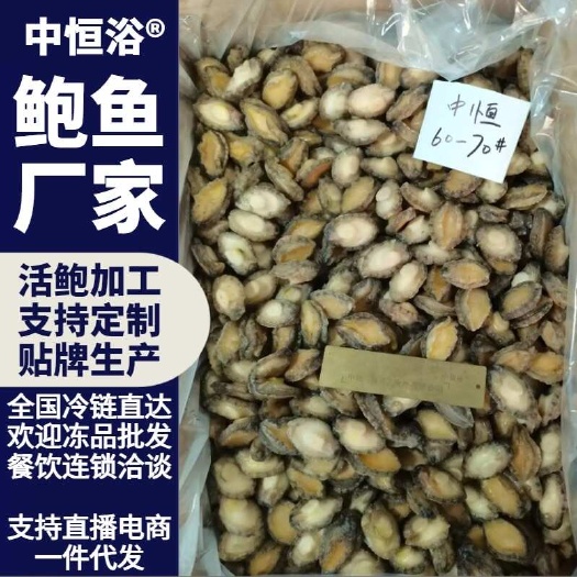 东山县鲍鱼肉 鲜冻60-70头鲍肉佛跳墙捞汁饭炖盅火锅食材海鲜批发