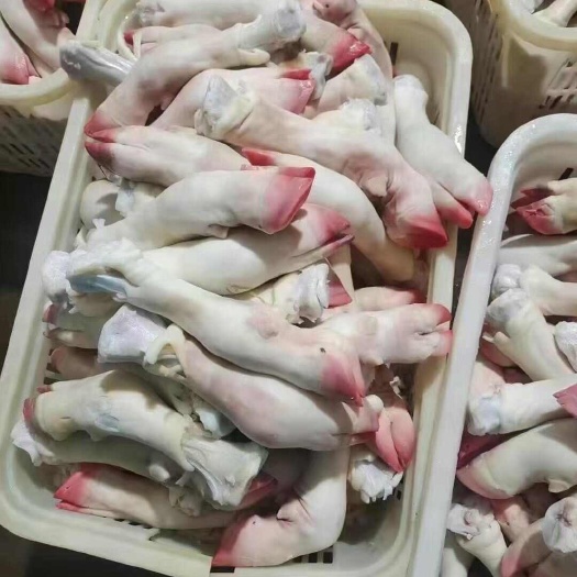中牟县河南郑州新鲜牛蹄批发 优质牛副产品供应