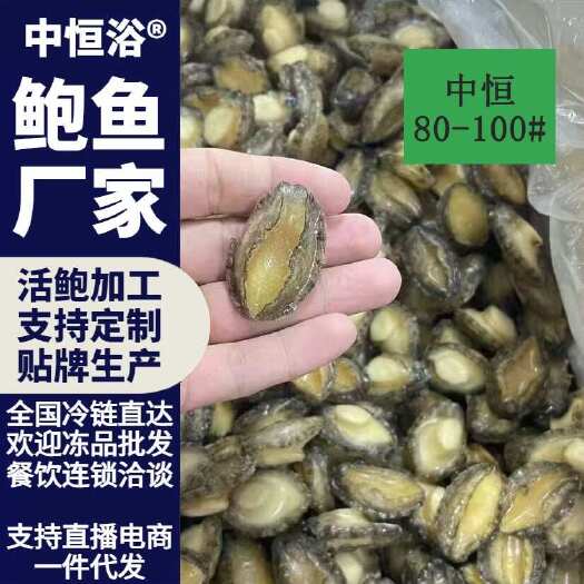 东山县【鲍鱼厂家】鲍鱼肉80-100头新鲜速冻鲍鱼纯肉厂家批发