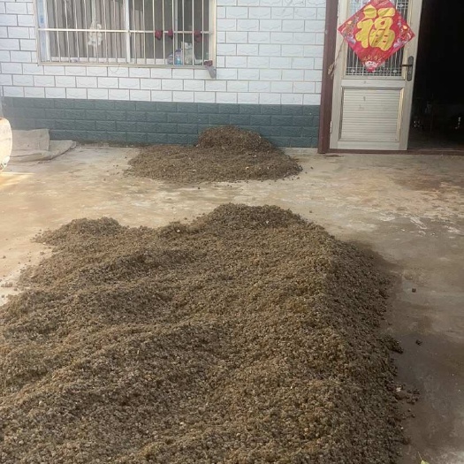 汝南县夏天无干货，新货无硫！产地一手货源，天然晒干！可批发零售