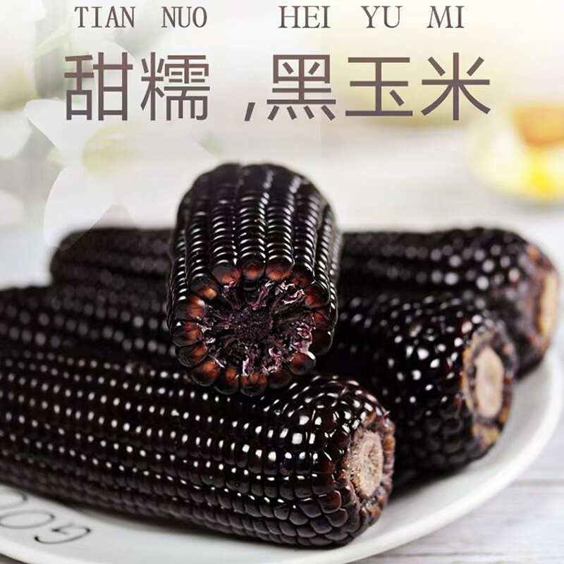 东北新鲜黑玉米天然健康营养丰富口感香甜软糯