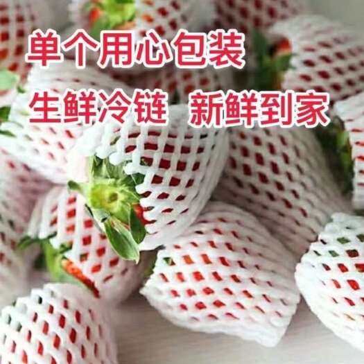 会泽县云南高山蒙特瑞色亮果型好耐储存