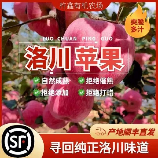 正宗洛川苹果红富士脆甜多汁不打蜡带皮吃原产地顺丰直发