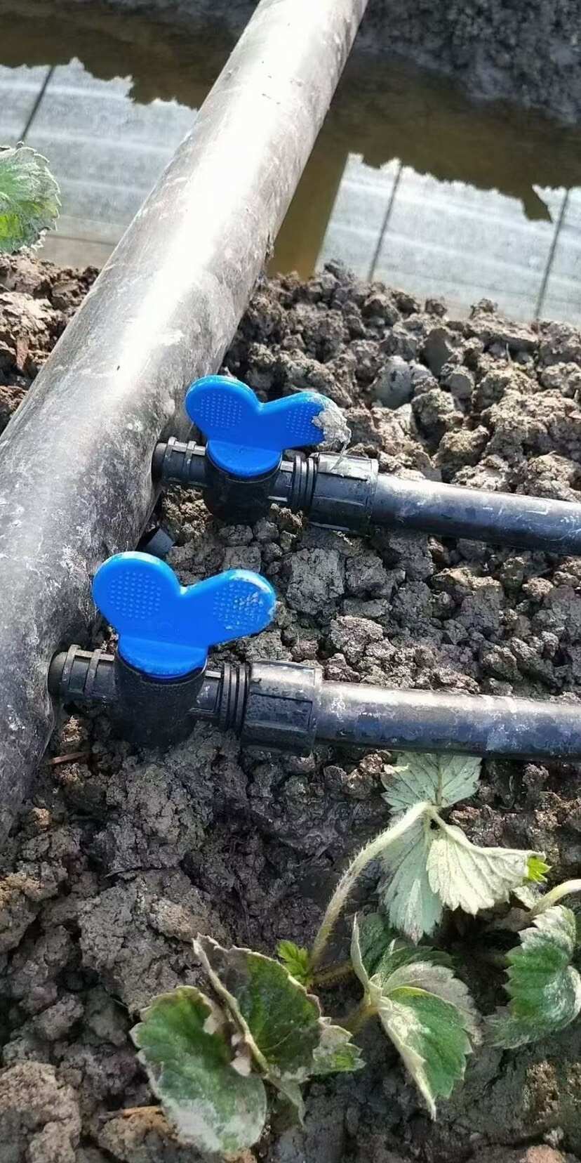 管件锁母旁通阀 济南莱芜发货 支持发票技术指导