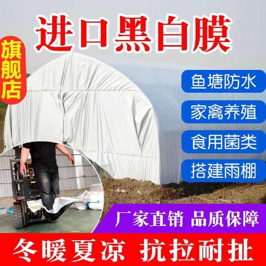 黑白膜加厚养殖大棚黑白膜反光隔热膜防晒塑料布食用菌绿白膜