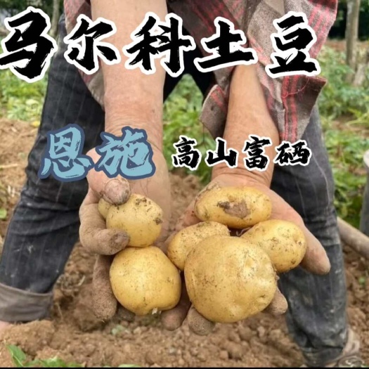鹤峰县恩施高山富硒马尔科土豆