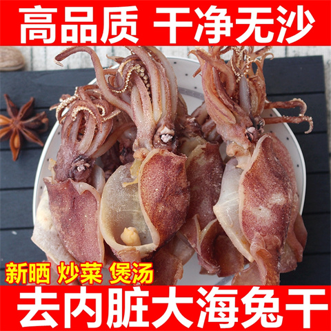 新货鱿鱼去内脏海兔墨鱼鱿鱼仔笔管鱼小鱿鱼海兔子海鲜