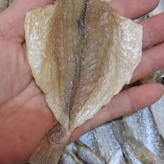 多味鱼干！烧烤摊专用！干度好收拾的干净！味鲜微甜！