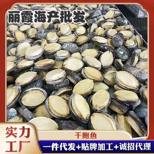 青岛带壳鲍鱼干鲍鱼干冻干鲍鱼干货批发海参鲍鱼散装干货礼盒
