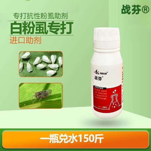 白粉虱药战芬助剂触杀内吸番茄黄瓜辣椒果树白粉虱正品保证