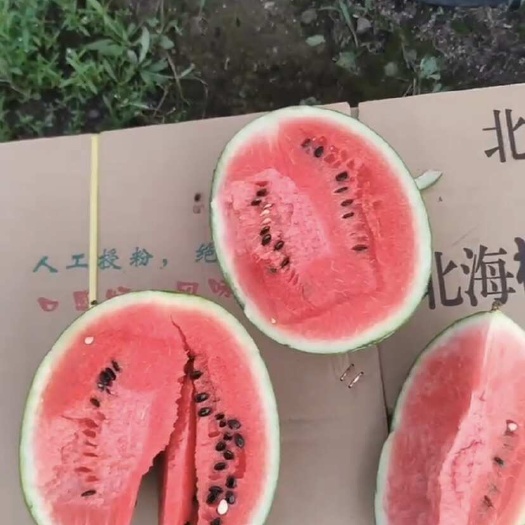 北海广西北海翠玲西瓜 北海代办产地一手货源 货源充足想订购的来