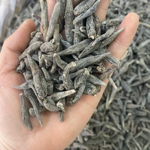昆明云南双肾参大货批发