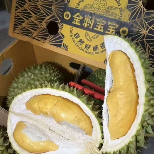 广州【树熟】泰国空运托曼尼榴莲，小猫山王榴莲非金枕榴莲甲仑榴莲