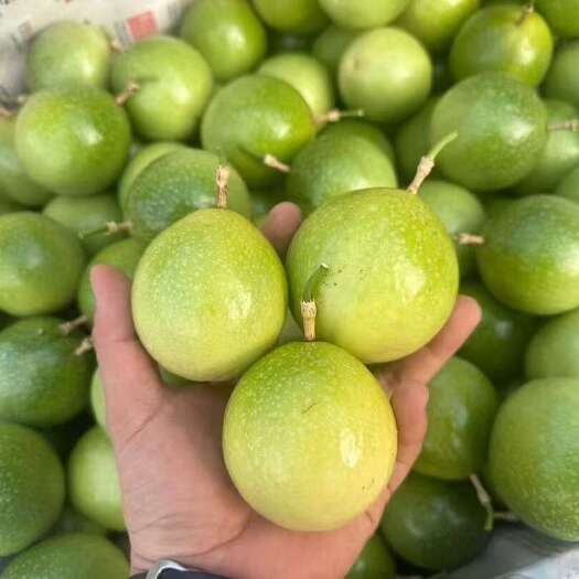 南靖县钦蜜百香果 口感纯甜（精品果）批发不含运费 代发包邮
