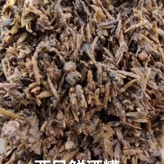 石家庄白酒糟