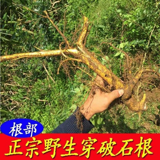 玉林穿破石