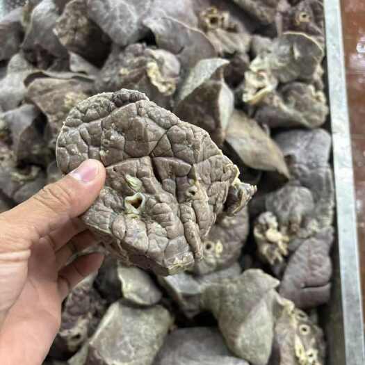 汕头牛肺【新鲜干净】牛肺半成品牛副牛杂煲批发商用【高回购】