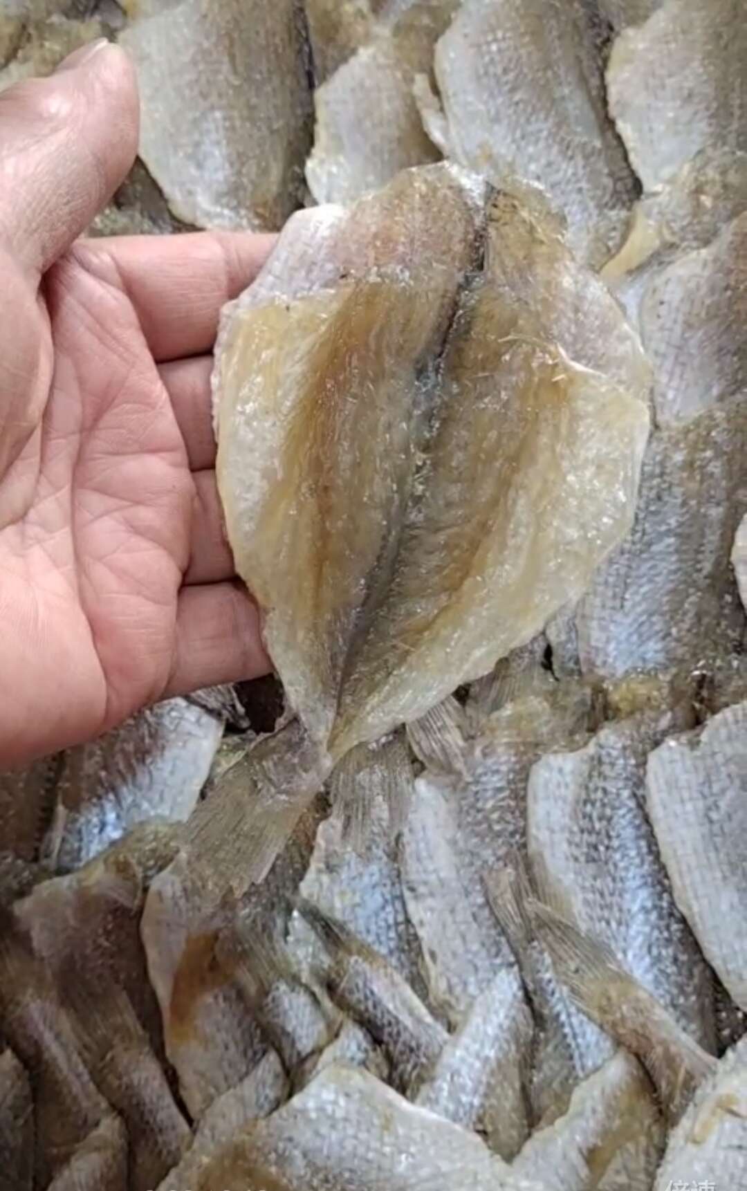 多味鱼干！烧烤摊专用！干度好收拾的干净！味鲜微甜！