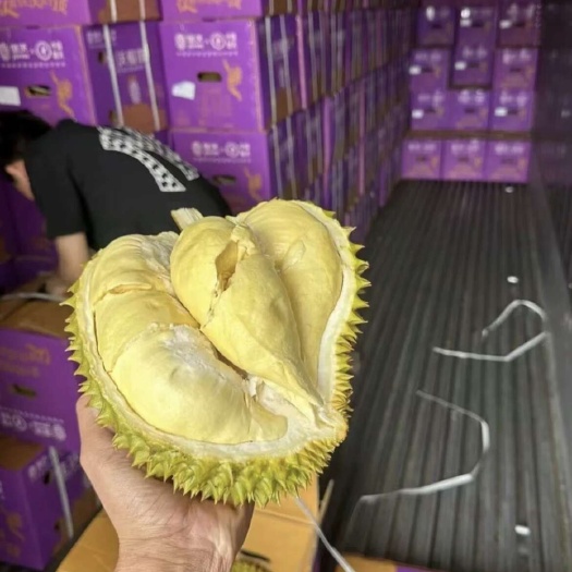 泰国金枕榴莲干包黄肉