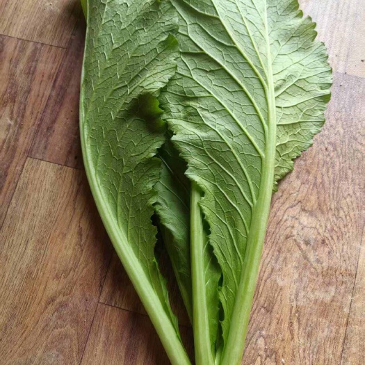 青菜