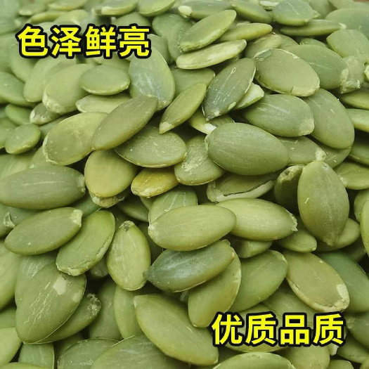天津新疆南瓜子仁独立包装去壳烘焙原味香酥坚果炒货去皮南瓜子